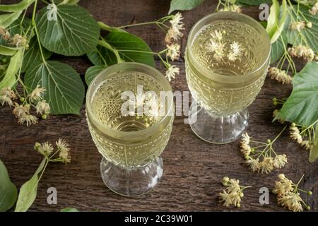 Two cups of herbal tea with fresh linden flowers on a table Stock Photo