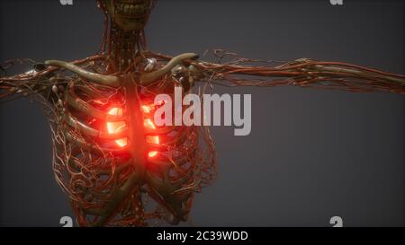 CG Animation Of A Sick Human Heart Stock Photo