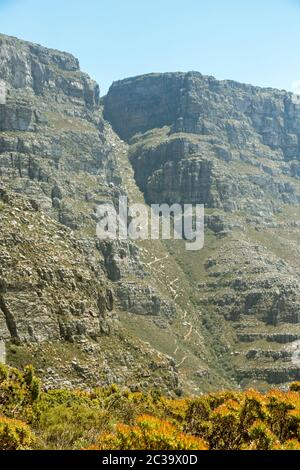 View from Table Mountain National Park in Cape Town, South Africa. Stock Photo