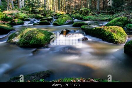 Otterbachtal in the Bavarian Forest Stock Photo