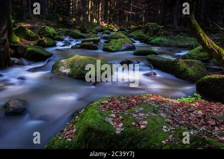 Otterbachtal in the Bavarian Forest Stock Photo