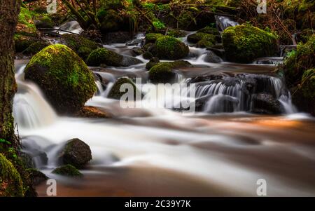 Otterbachtal in the Bavarian Forest Stock Photo