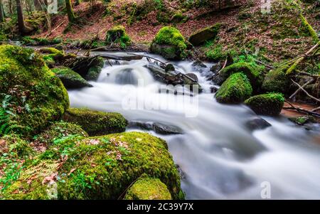 Otterbachtal in the Bavarian Forest Stock Photo