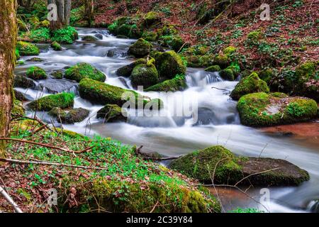 Otterbachtal in the Bavarian Forest Stock Photo