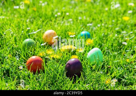 Easter Egss in the Garden Stock Photo