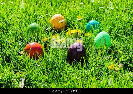 Easter Egss in the Garden Stock Photo