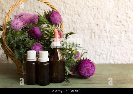 Health concept with essential oils of thistle for alternative medicinal use Stock Photo