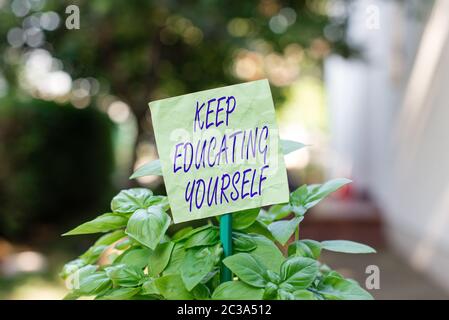 Text sign showing Keep Educating Yourself. Business photo text dont stop studying Improve yourself using Courses Plain empty paper attached to a stick Stock Photo