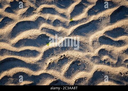 Close up view of rippled sand patterns on a beach, lit by sunlight with strong shadows and with a small green leaf lying on top Stock Photo