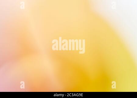 Beautiful fusion of bright colors and light leak Stock Photo