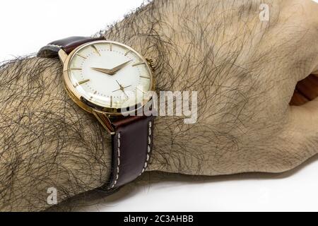 An old gold mechanical wristwatch with manual winding. Antique watch ruined by time, with scratches and mildew stains. Watch worn on a man's hairy wri Stock Photo