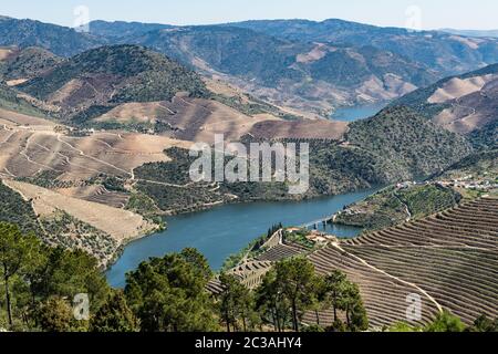 Viewpoint of Vargelas allows to see a vast landscape on the Douro and its man-made slopes. Douro Region, famous Port Wine Region, Portugal. Stock Photo