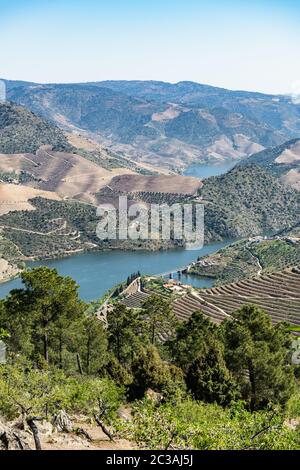 Viewpoint of Vargelas allows to see a vast landscape on the Douro and its man-made slopes. Douro Region, famous Port Wine Region, Portugal. Stock Photo