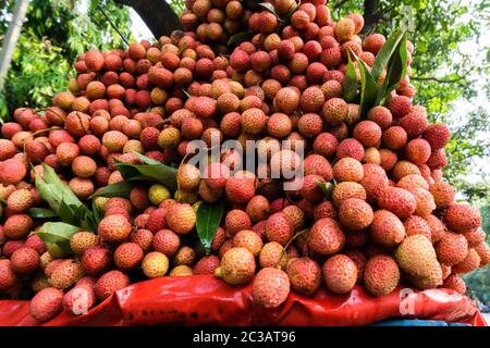A closeup shot of Lychee on a roadside fruit vendor. Lychee is the sole member of the genus Litchi in the soapberry family, Sapindaceae. Stock Photo