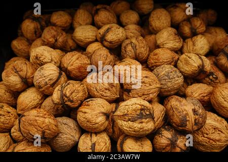Fresh organic walnuts on a baking sheet Stock Photo