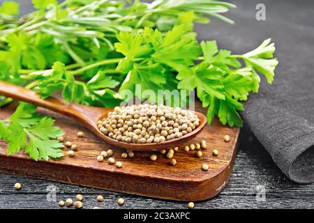 Coriander seeds in a spoon, green fresh cilantro and a napkin on wooden board background Stock Photo