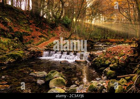 Cascade on river and footpath with sunbeams shining through branches in golden coloured autumn trees Stock Photo