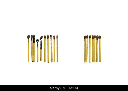 matchsticks burnt in row as sequence while one match stay down from burning to avoid fire connecting against white background, social stop pandemic co Stock Photo