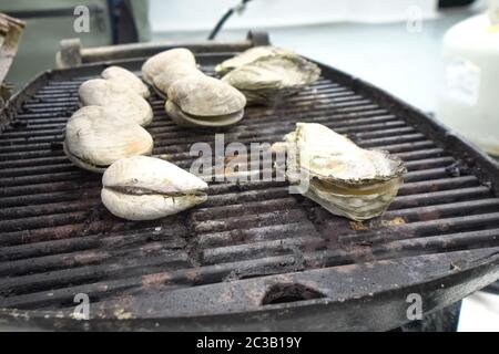 Grilled oysters on the grill in the open air. Stock Photo