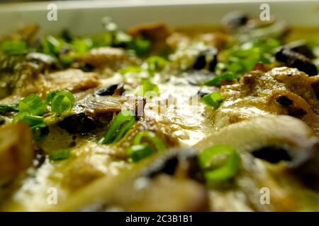 Fried chicken with mushrooms, milk and green onions. Stock Photo