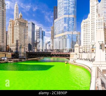 Chicago Skylines building along green dyeing river of Chicago River on St. Patrick day festival in Chicago Downtown IL USA Stock Photo