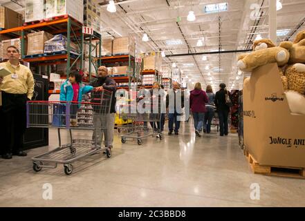 Cedar Park Texas USA, November 22 2013: Shoppers at newly open Costco warehouse club push oversized shopping carts through wide aisles.   ©Marjorie Kamys Cotera/Daemmrich Photography Stock Photo