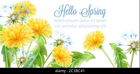 Hello spring banner with yellow dandelion flowers. Greeting card with place for text. Vector Stock Vector