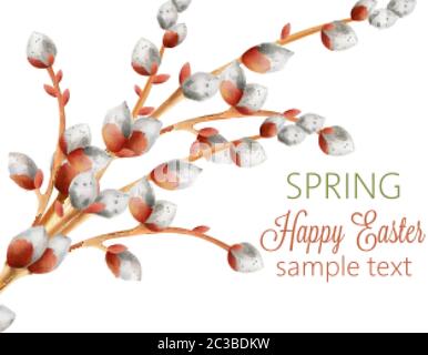 Watercolor branch of white catkins. Happy easter spring composition. Vector Stock Vector
