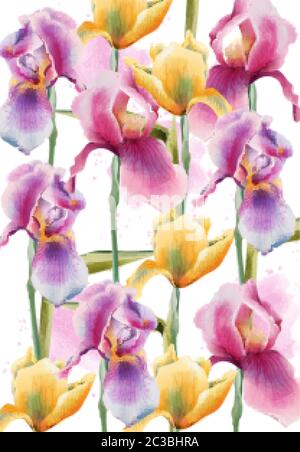 Iris flowers pattern. Watercolor. Hand drawn. Vintage design. Vector Stock Vector