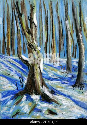 Winter landscape with trees. Mixed forest with snow. Illustration 