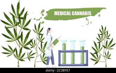 Woman in laboratory making a research on cannabis with big syringe and chemistry tube with cbd extract. Vector Stock Vector