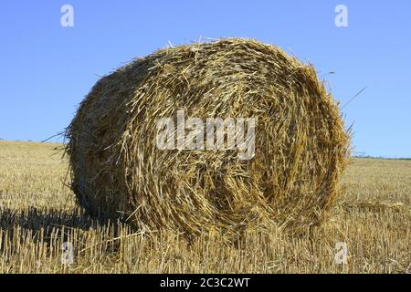 Large round straw roll with blue sky in background Stock Photo