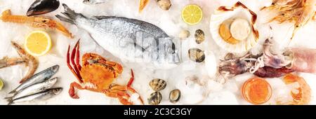 Fish and seafood panoramic top shot. Sea bream, crab, sardines, scallops, shrimps on a white background Stock Photo