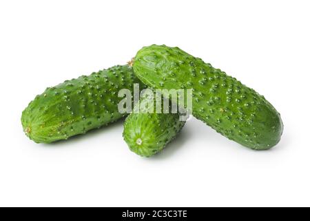 Fresh cucumbers Stock Photo