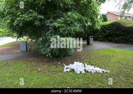 Artificial white Christmas tree dumped on grass in mid summer June 2020 Stock Photo