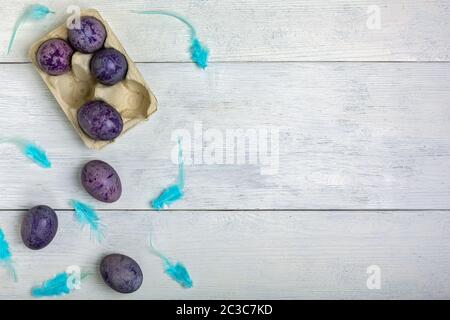 Easter blue and purple eggs in a cardboard tray. Stock Photo
