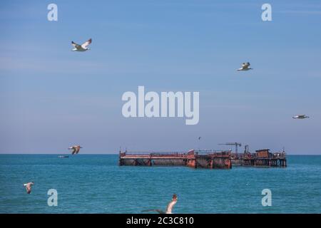 Seagulls flying by a mussel farm in the Black Sea. Stock Photo