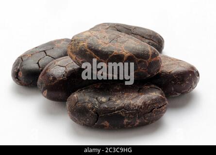 Cocoa beans on the white background Stock Photo