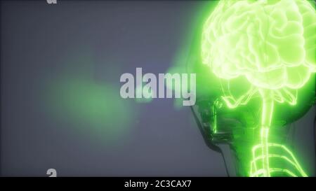 Human Brain Radiology Exam Stock Photo