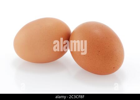 Two brown chicken eggs on a white background Stock Photo