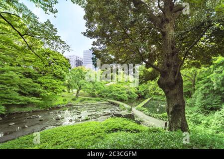 Landscape of the Koishikawa Korakuen Garden in Tokyo with the small Togetsu Bridge, reminiscent of the bridge of the same name in Kyoto on the Katsura Stock Photo