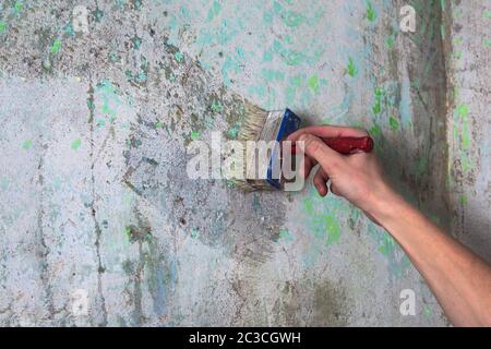 Repair and priming of the wall before painting or applying plaster. Painting and construction works and interior decoration of the house or room. The Stock Photo