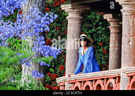 A European woman looks out from her balcony next to a flowering Jacaranda tree in San Miguel de Allende, Mexico. Stock Photo