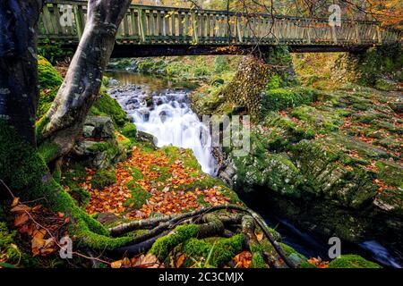 Bosnia northern ireland discount stream