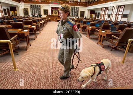 July 1st, 2013 Austin, Texas USA: Texas Department of Public Safety female officer and her canine partner patrol the floor of the Texas House of Representatives before legislators arrive for the day's session. Stock Photo