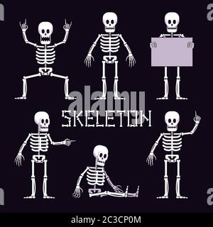 Skeleton in various poses is cartoon style Stock Vector