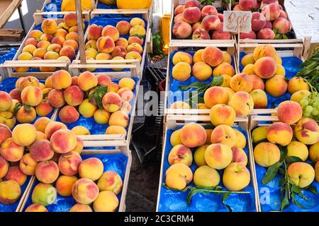 Peaches and nectarines for sale at a market Stock Photo