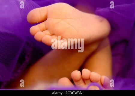 Closeup image of a new born baby girls softly focused bottom of the feet showing her healthy soles. Stock Photo