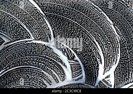 Abstract background. Swirling soap sud foam pattern on window with dark background.