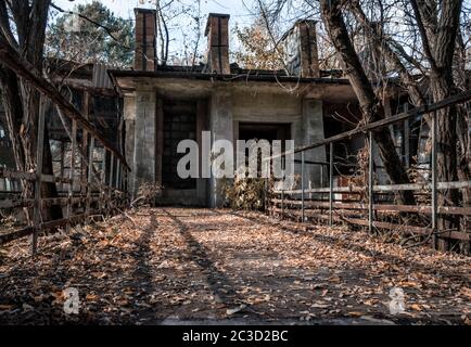 abandoned building in Chernobyl contaminated area in autumn Stock Photo